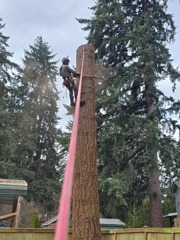 Removal rope view